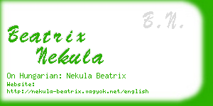 beatrix nekula business card